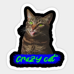 Crazy cat Sticker